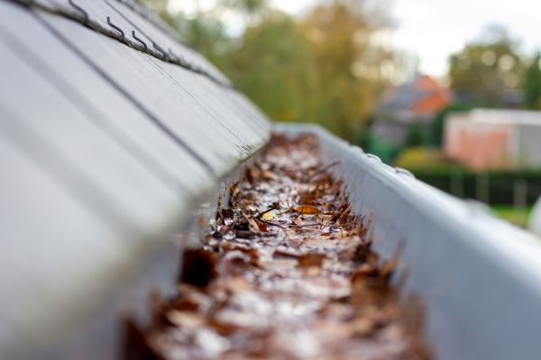 Commercial Gutter Cleaning in Stafford