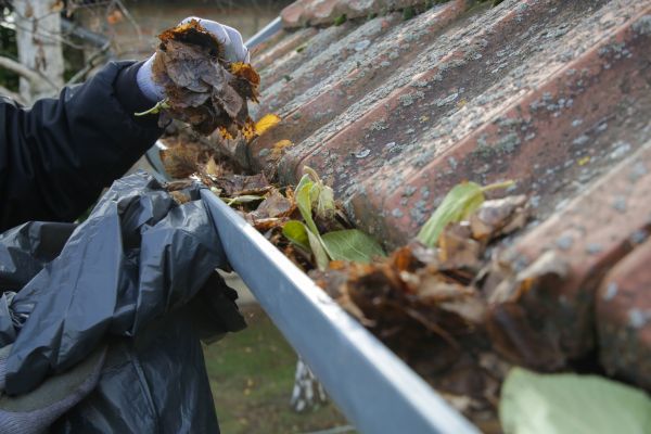 Commercial Gutter Unclogging in Stafford