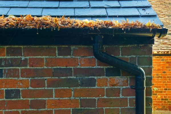 Gutter Needle Removal