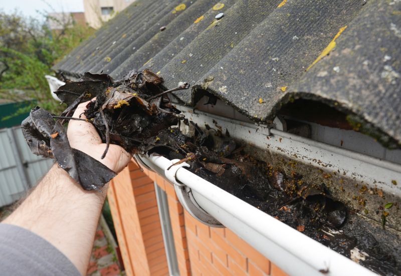 Clean Gutters with Leaves Removed